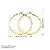 Gold / Silver Round Hoop Earrings - 7